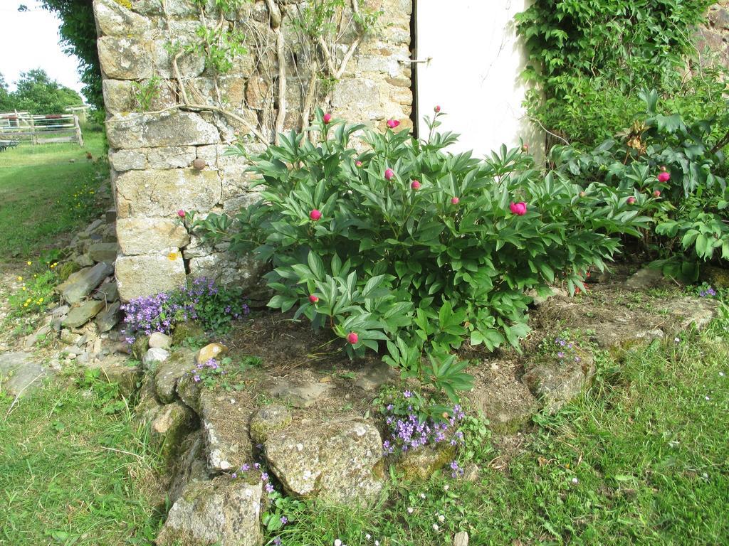 Les Sources Bed and Breakfast Poilley  Exterior foto